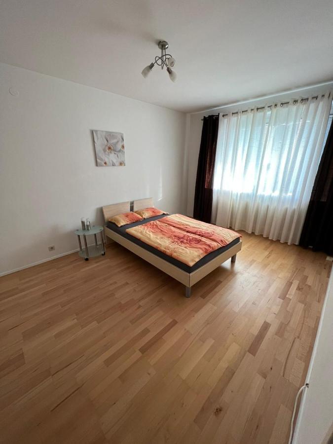 Sehr Gemutliche Wohnung Baden bei Wien Esterno foto
